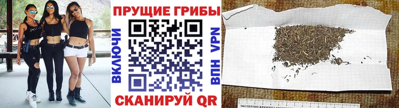 Галлюциногенные грибы ЛСД Цимлянск